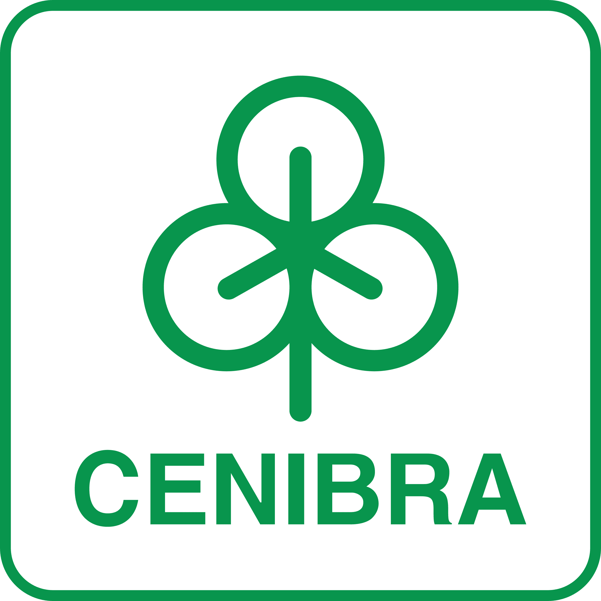 NOVA MARCA CENIBRA VERDE