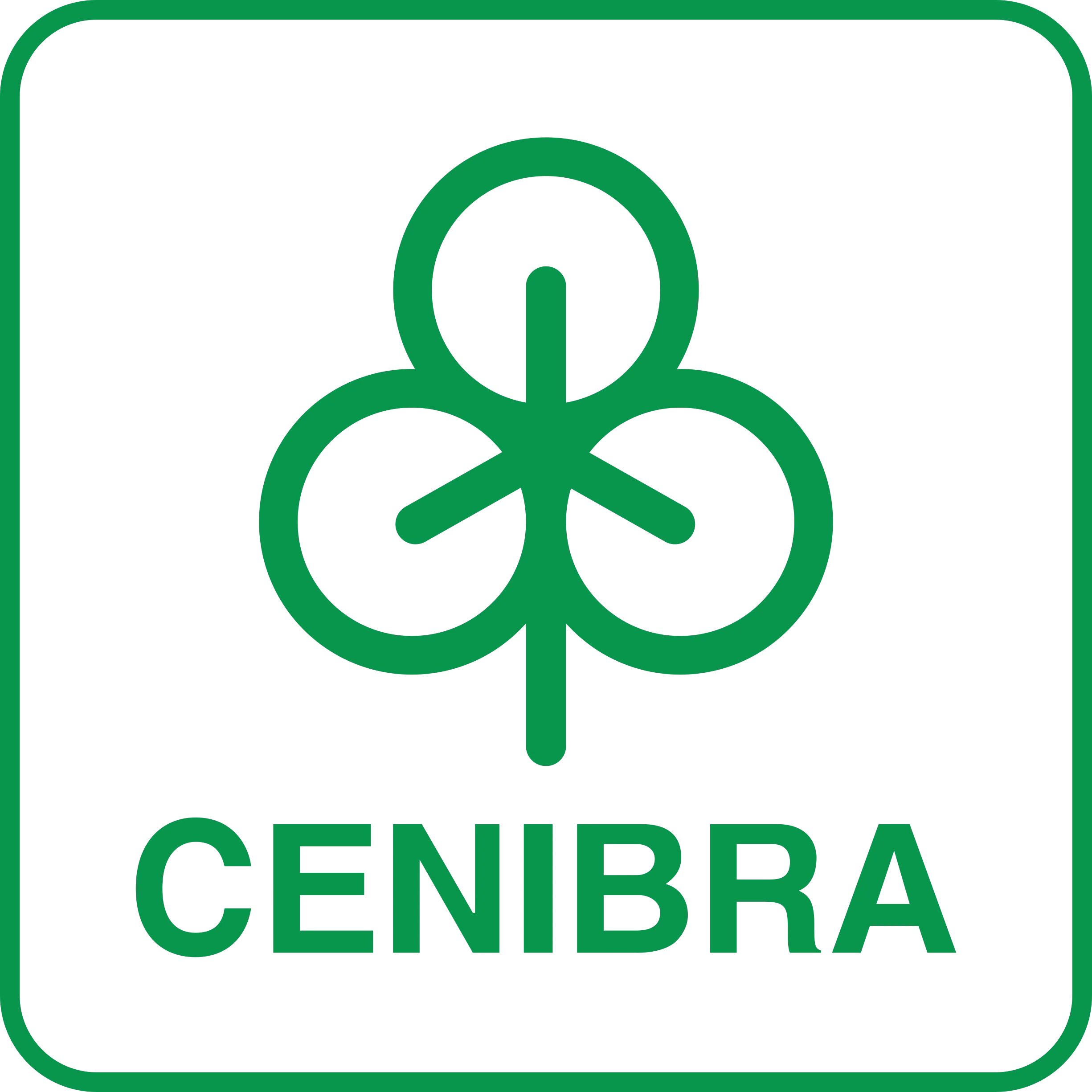 NOVA MARCA CENIBRA VERDE